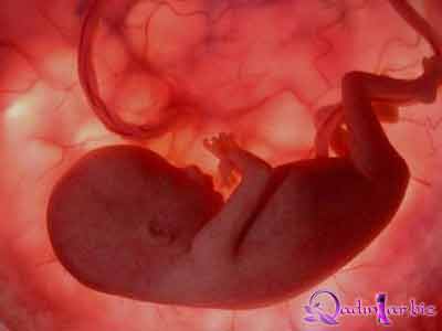 Fetal azaldılması
