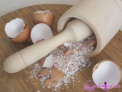 Yumurta qabıqlarını tullamayın  - İnanılmaz faydaları