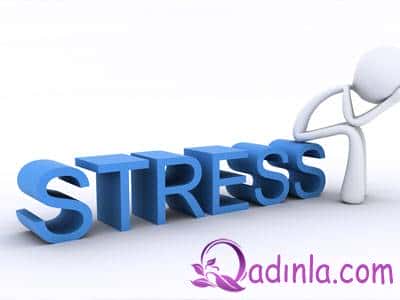 STRESS haqqında bunları bilirsinizmi?