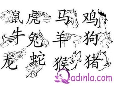 Çin horoskopu