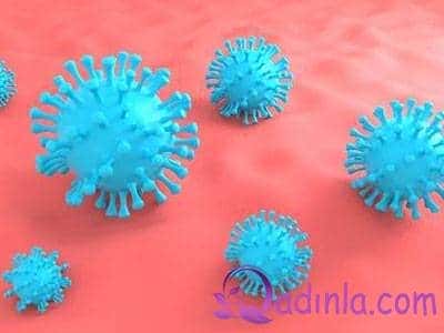 Çindəki koronavirus haqqında miflər