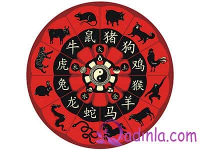 Çin horoskopunu anlamaq üçün