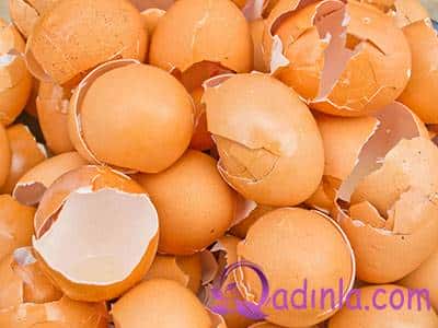 Yumurta qabığının inanılmaz faydaları