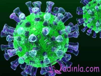 Çin vurusu: Koronavirus nədir və nə dərəcədə narahat olmalı?